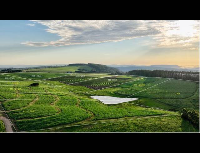 LAND FOR SALE IN MOUNT VERDE